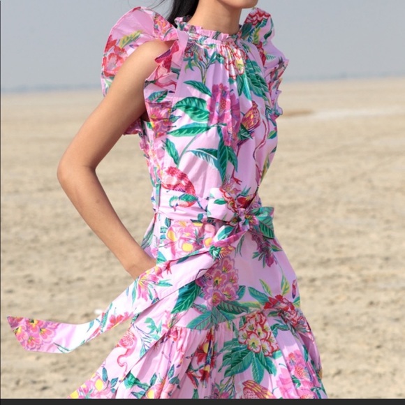 Banjanan BulBul Pink Floral Mini Dress with Ruffle Sleeve Detail and Tie Waist - Picture 4 of 9